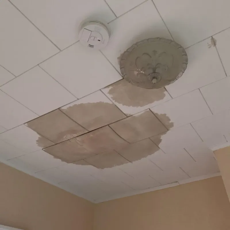 Ceiling Water Damage Repair in Hocking County, OH