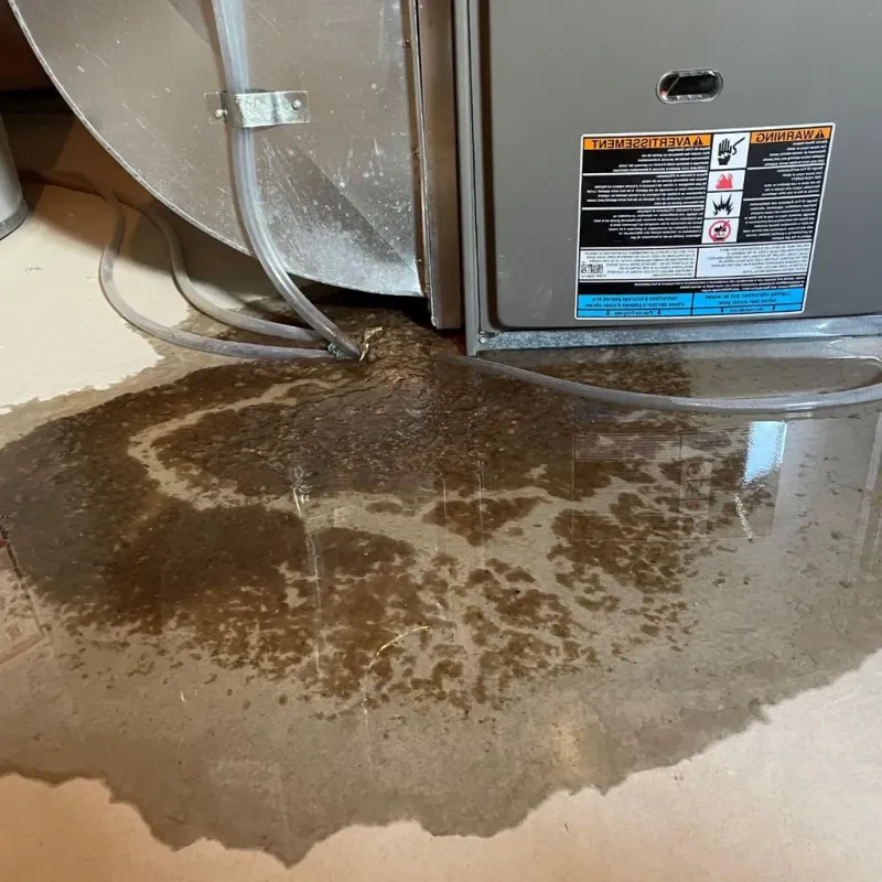 Pipe Burst and Leak Restoration in Hocking County, OH