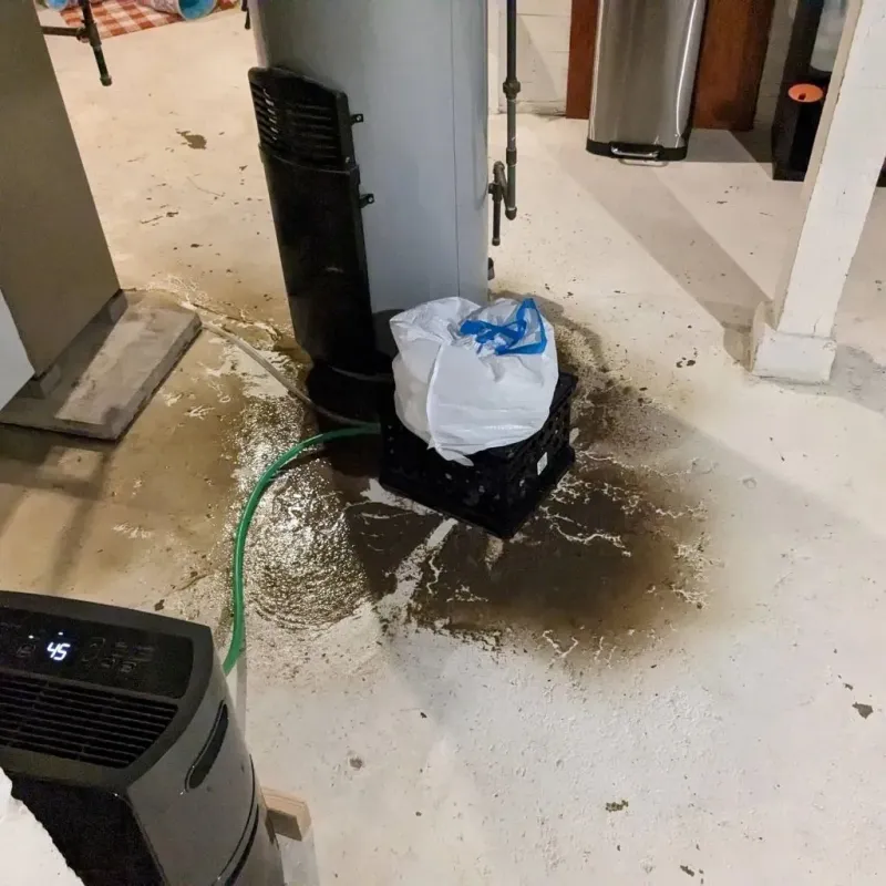 Sewage Backup Cleanup Service in Hocking County, OH